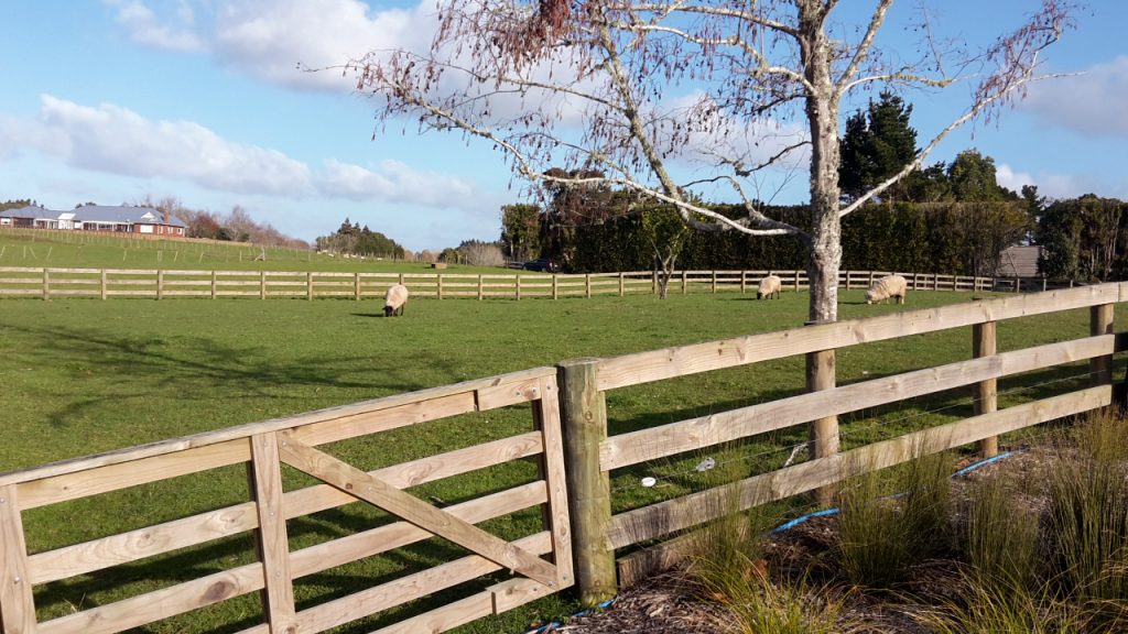 Fencing Contractor Franklin